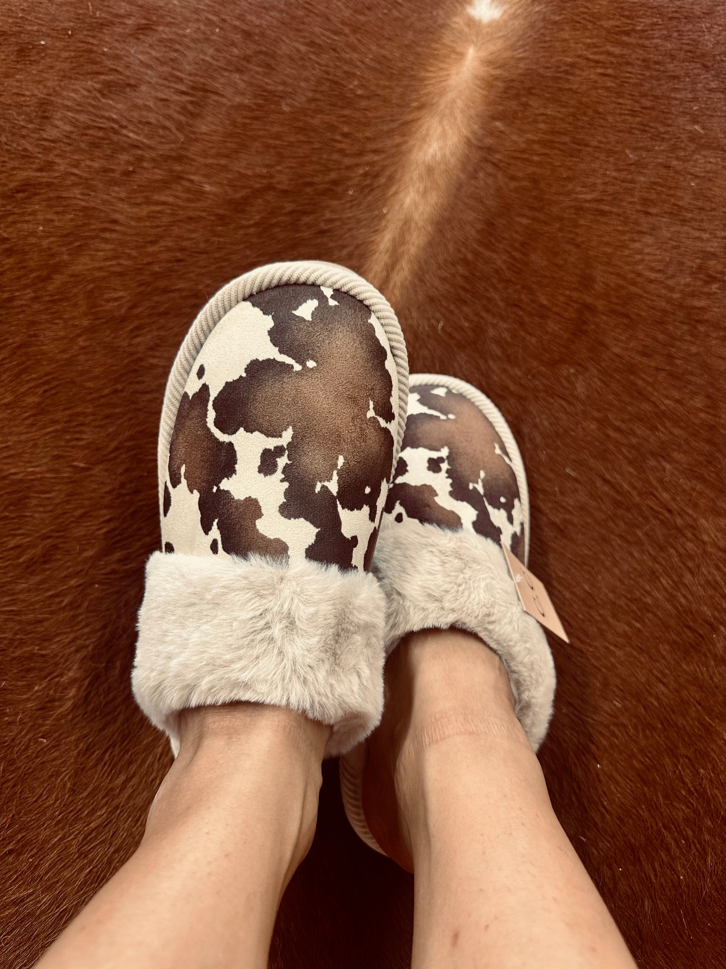 Cow slippers